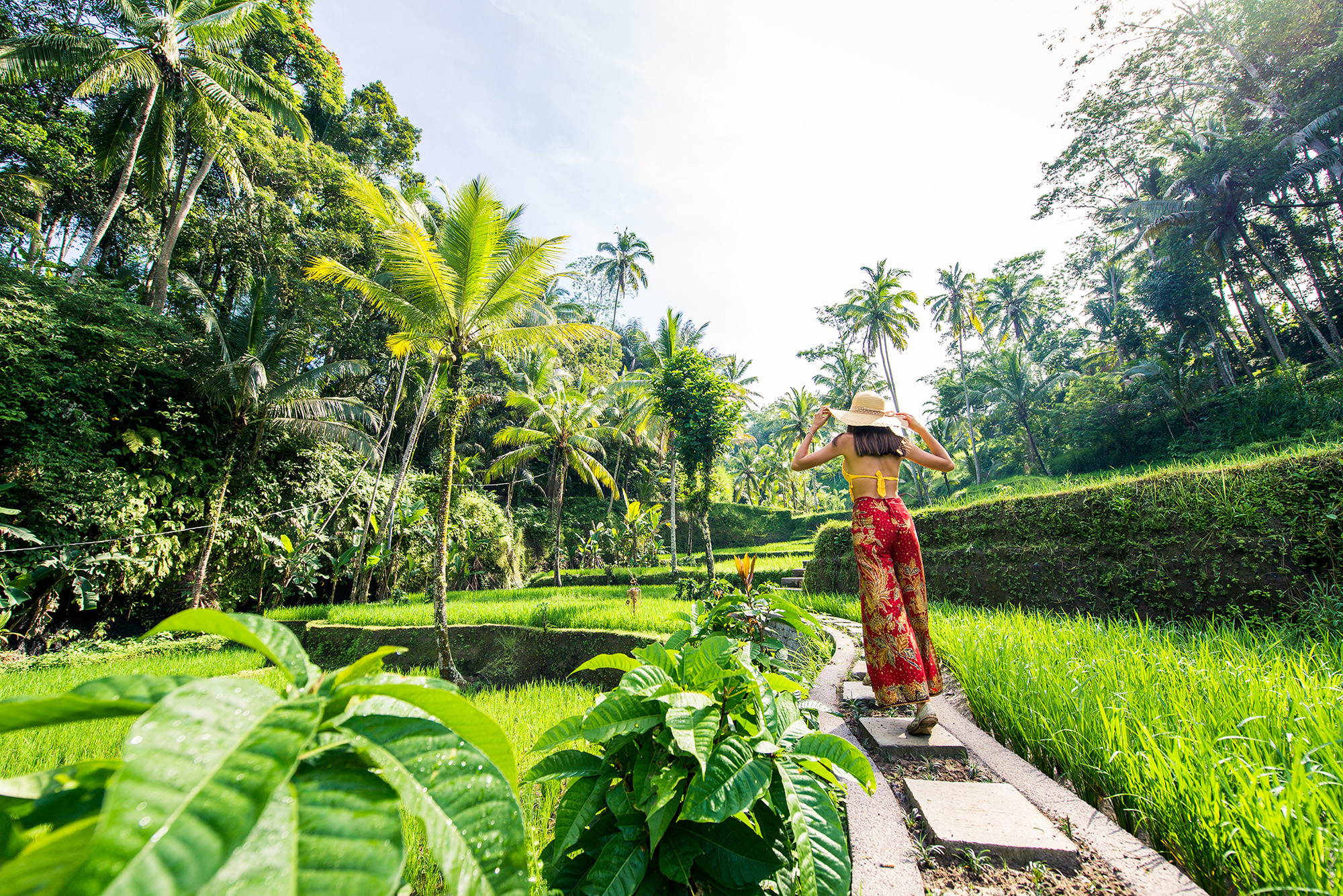 Young woman on green cascade rice field plantation at Tegalalang terrace. Bali, Indonesia - Beautiful female model posing at rice terrace in Ubud